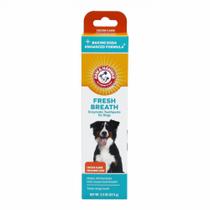 Pasta De Dentes Enzimática Arm & Hammer sabor Frango p/ Cães