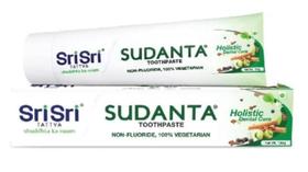 Pasta de Dentes Sri Sri Tattva Sudanta 100g - Sem Flúor e à Base de Ervas