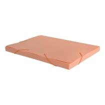 Pasta Elast.Acp 20Mm Laranja Pastel Pasta Elast.Acp 20Mm Laranja Pastel