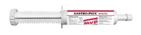 Pasta Gastrointestinal para Cavalos MVP 10 Doses 400 ml Pasta Gastrointestinal para Cavalos MVP 10 Doses 400 ml