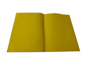 Pasta Modelo 17 Amarela (1º E 2º G) Pacote Com 100 Unidades