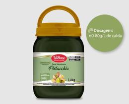 Pasta Pistacchio 1,8Kg - Vabene Pasta Pistacchio 1,8Kg - Vabene