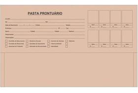 Pasta Prontuario Escolar 240grs C/100 Unidades