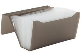 Pasta Sanfonada Cheque B6 12DIV Fumê Plascony