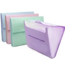 Pasta sanfonada com 12Divisorias com alca Tam A4