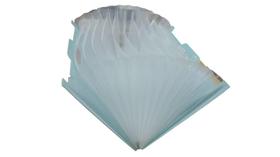 Pasta Sanfonada Organizadora Com 13 Divisões