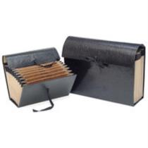 Pasta Sanfonada Papel Duplicata 31 Divisoes Preta