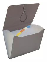 Pasta Sanfonada Pequena Plástica Duplicata 12 Divisórias Tamanho 19x24cm A5 ACP e Polibras