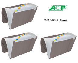 Pasta Sanfonada Plastica A4 12 Div. Fume Kit c/3 Pcs ACP