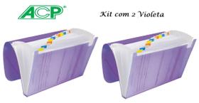 Pasta Sanfonada Plastica A4 12 Div. Violeta Kit c/2 Pcs ACP