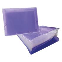 Pasta Sanfonada Plastica A4 12 Divisorias Lilas ACP Pasta Sanfonada Plastica A4 12 Divisorias Lilas ACP