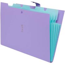 Pasta Sanfonada Plástica A4 5 Divisões Lilás Pastel