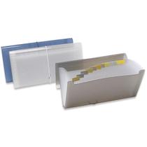 Pasta Sanfonada Plastica Porta Cheque 12 Divisoes Fume