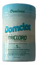 Pastilha De Cloro Domclor 1kg Tricloro Desinfetante Piscina