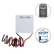 Pastilha Placa Peltier Latina Masterfrio Polar Bebedouro Pastilha Placa Peltier Latina Masterfrio Polar Bebedouro