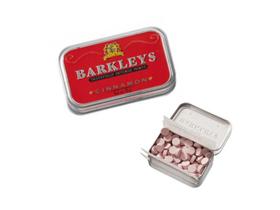 Pastilhas barkleys tastefully intense mini mints-cinnamon