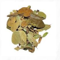 Pata de vaca Bauhinia forficata 100 gramas seca
