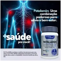 Patalamin palmitoletanolamida, metilsulfonilmetano e magnésio dimalato 500mg 60 cápsulas