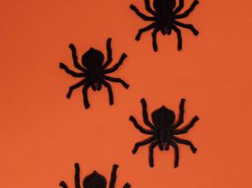 Patch Termocolante Aranha