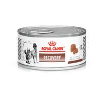Patê Royal Canin Recovery Cães e Gatos Lata 195 g