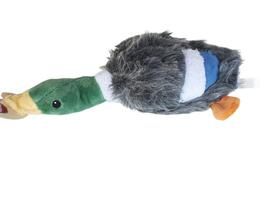 Pato Selvagem Mordedor De Pelúcia Para Cachorro