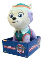 Patrulha Canina Everest 30cm 1354 Sunny