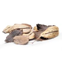 Pau Santo Casca Desidratado p/ Decoração Pau Santo Casca Desidratado p/ Decoração