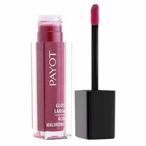 Payot Gloss Labial Ácido Hialurônico Búzios 4,5g Payot Gloss Labial Ácido Hialurônico Búzios 4,5g