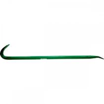 Pe De Cabra Sao Romao 60 Cm Pe De Cabra Sao Romao 60 Cm