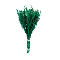 Pé de Sapo Verde Desidratado p/ Decoração