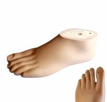 Pé Sach Para Prótese Com Divisão No Dedão Pé Sach Para Prótese Com Divisão No Dedão