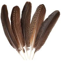 Peacock Feather Wings Daieeparty Natural 30-35 cm Artesanato