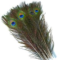 Peacock Feathers Piokio 30 peças de 40-45 cm para artesanato de bricolage e casamento