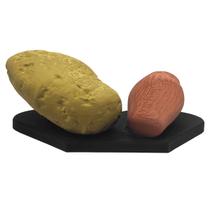 Peça Anâtomica Músculo e Gordura Escultura
