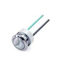 Peças de reposição de descarga dupla com botão de pressão para banheiro Lychee Light Peças de reposição de descarga dupla com botão de pressão para banheiro Lychee Light