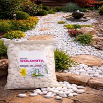 Pedra Branca Dolomita Jardim Ornamental Decoração Vaso Melhor Seixo 5kg Pedra Branca Dolomita Jardim Ornamental Decoração Vaso Melhor Seixo 5kg