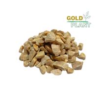 Pedra Cascalho Granilha Ouro Ornamental Decoração 5 Kg - Gold Plant