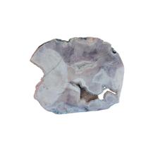 Pedra Da Transformação: Quartzo Cristalizado Bruto Renovar