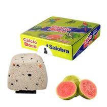 Pedra de calcio em bloco c/20 unidades calopsita agapornes