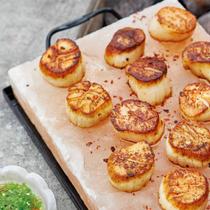 Pedra De Sal Rosa do Himalaia 30x20x4 cm com suporte de metal Pedra De Sal Rosa do Himalaia 30x20x4 cm com suporte de metal