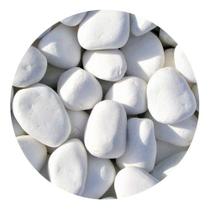 Pedra Decorativa Branca Seixo Dolomita Nº3 Para Canteiro 10kg