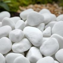 Pedra dolomita ornamental para decoração, vasos, jardins, aquarios seixo Branca 15 kilos N 3 Gold Plant Pedra dolomita ornamental para decoração, vasos, jardins, aquarios seixo Branca 15 kilos N 3 Gold Plant