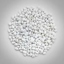 Pedra Dolomita seixo para decoração, vasos, jardins, aquários Branca 15 kilos N0 pedrisco Gold Plant Pedra Dolomita seixo para decoração, vasos, jardins, aquários Branca 15 kilos N0 pedrisco Gold Plant