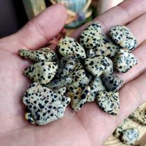 Pedra Jaspe Dalmata 1 a 2cm - Cristal do Otimismo - Cristal Natural Pedra Jaspe Dalmata 1 a 2cm - Cristal do Otimismo - Cristal Natural