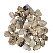 Pedra Jaspe Zebra 2 a 4 cm Rolada 500 gramas Natural Pedra Jaspe Zebra 2 a 4 cm Rolada 500 gramas Natural