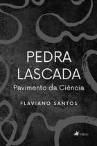 Pedra Lascada: pavimento da ciência - Viseu