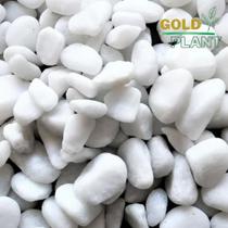 Pedra Ornamental decoração vasos jardins dolomita seixo Branca 15 kilos N 2 - Gold Plant