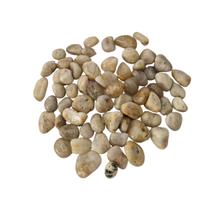 Pedra Quartzo Opalado Rolado 1 A 2 Cm 500G Natural Pedra Quartzo Opalado Rolado 1 A 2 Cm 500G Natural