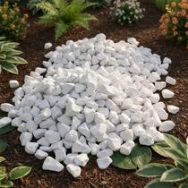 Pedrisco Cascalho Granilha Ornamental Decoraçã, branca, Palha ou Cinza 30kg