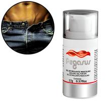 Pegasus Excitante Masculino Intt Pegasus Excitante Masculino Intt
